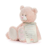 Demdaco - My First Teddy - 40cm Pink