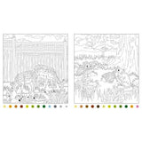 Enchanted Garden - A Colour By Numbers Adventure