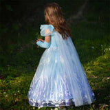 Den Goda Fen - Ice Princess Dress with Accessories