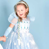Den Goda Fen - Ice Princess Dress with Accessories