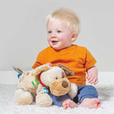 Mary Meyer - Taggies - Buddy Dog Soft Toy