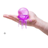 Nee Doh - Jelly Squish - Assorted Colours