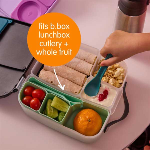 Bbox - Silicone Bento Tray - Ocean – Yellow Zebra