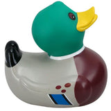 Mallard Bath Duck
