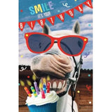 Birthday Card - Smile It's Your Birthday