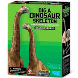 Dig A Dinosaur Skeleton - Brachiosaurs